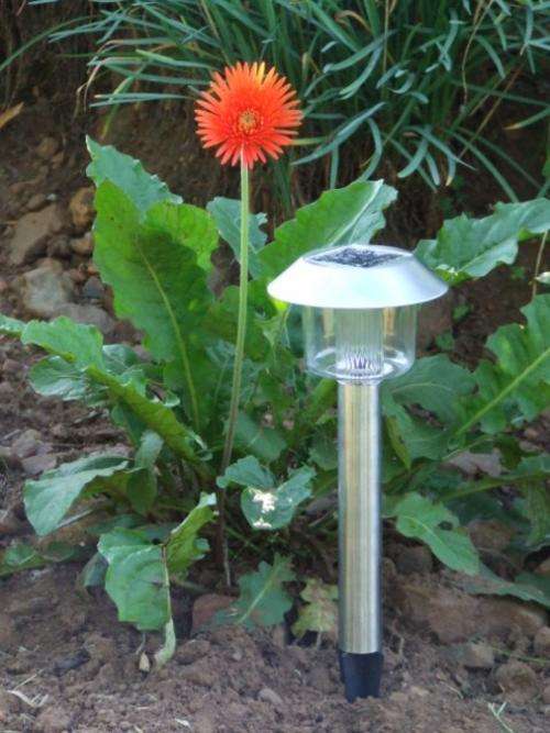 Stainless steel solar garden lights, set of 5 lights